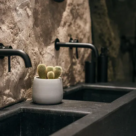 Hotel Black Ftelia (Mykonos)