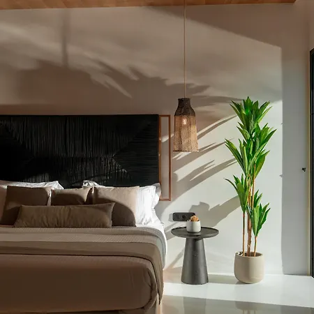 Black 5* Ftelia (Mykonos)