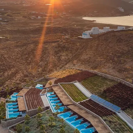 Black Ftelia (Mykonos)