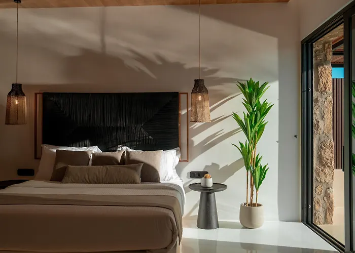 Black 5* Ftelia (Mykonos)